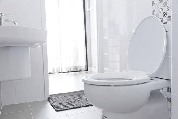 Our Toilet Repair and Installation Services