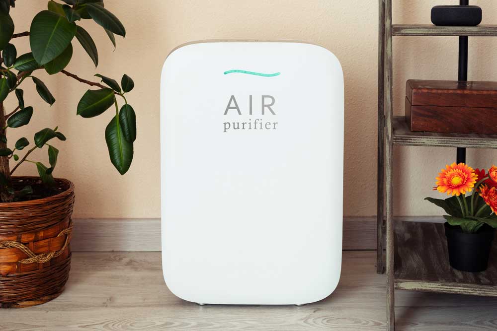 Air Purifier Repair Service